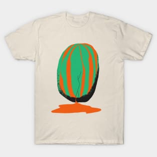 Broken Watermelon T-Shirt